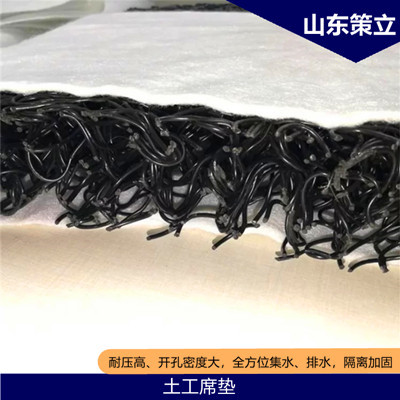 优质渗排水片材 土工席垫 三维植被保护垫