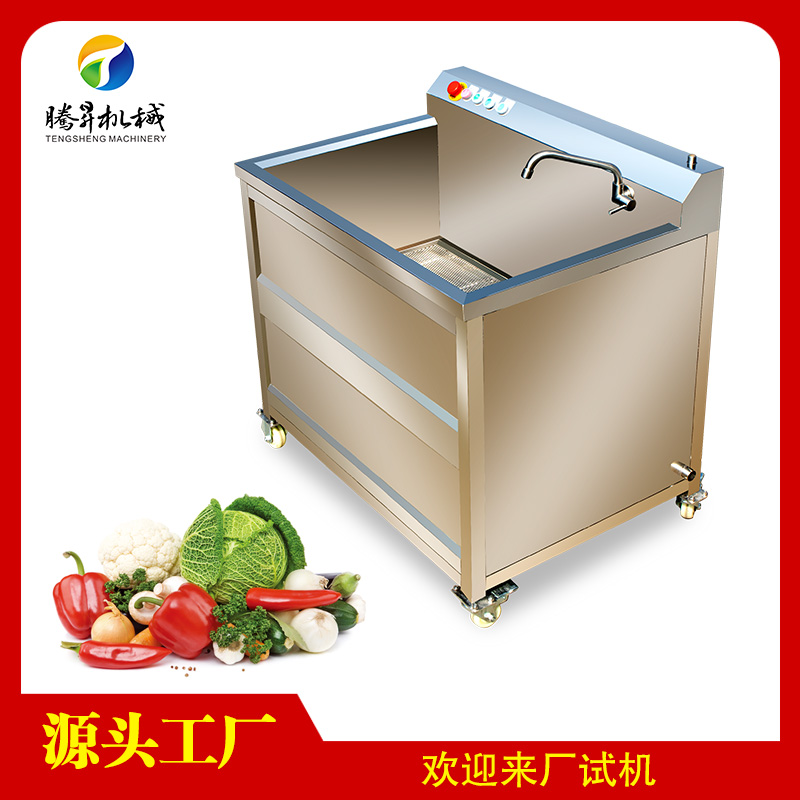 小型果蔬洗菜机 电动瓜果清洗机食堂洗菜机