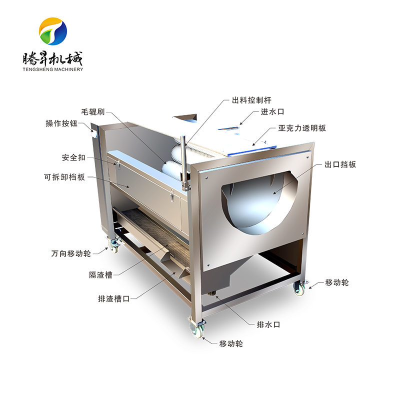 中小型商用土豆去皮机马蹄清洗去皮机  小型土豆去皮机