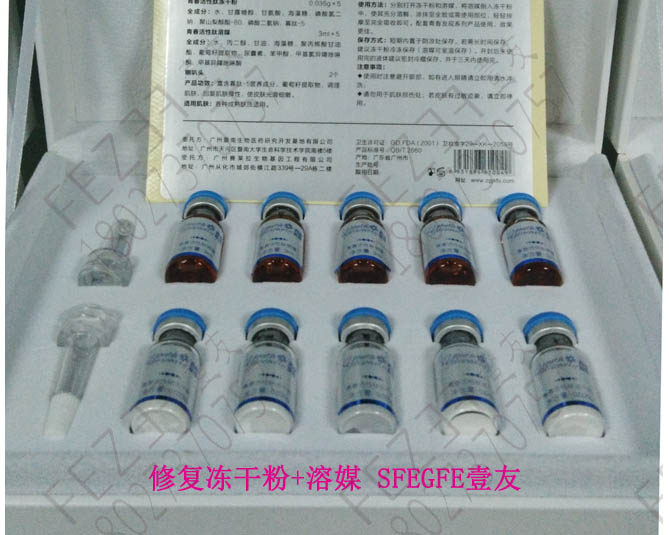 SHFGY世崎 艾草立体修护冻干粉  艾草冻干粉  暨大冻干粉