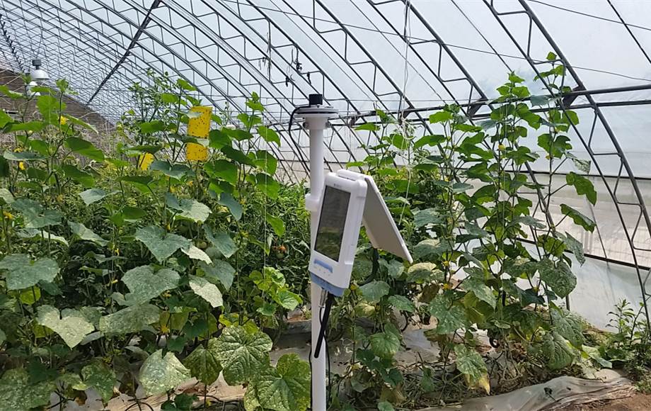 智能温室仪 智能温室监测仪 大棚环境监测仪 志信环科  温室气候监测  大棚气候监测