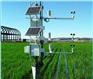 农田梯度监测站 农田梯度自动监测站 志信环科