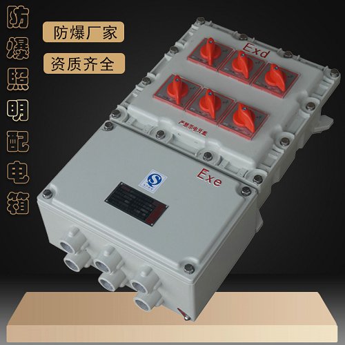 BXM系列防爆照明配电箱 成都防爆照明开关箱  防爆配电箱