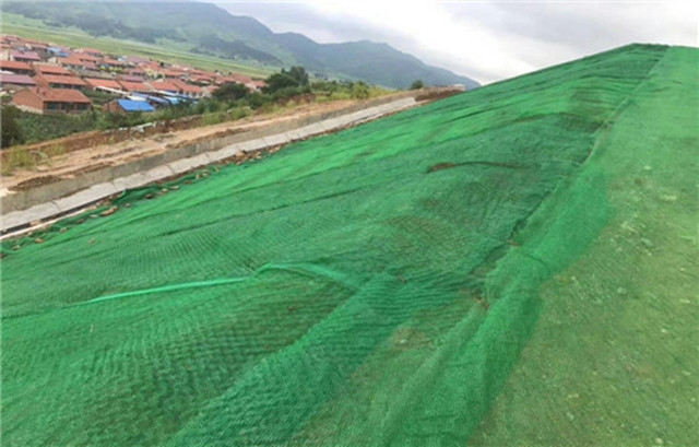 高品质三维植被网 护坡固土复绿 三维土工网垫 厂家直供