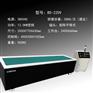 浙江博维思磁针去毛刺机BS-220V