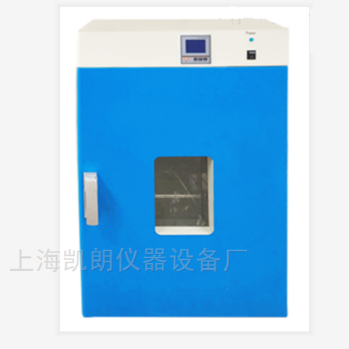电热恒温鼓风干燥箱  烘箱  烘干箱
