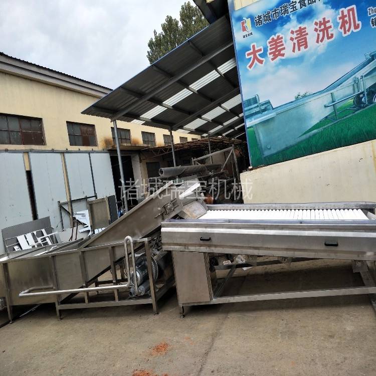 大蒜擦干机 蒜米沥水机 不锈钢大蒜加工设备