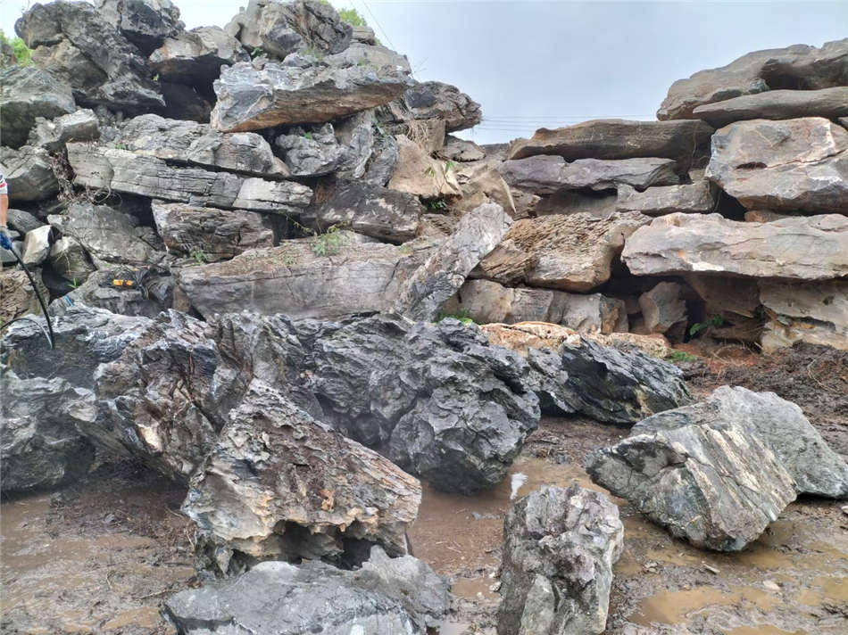 广东英石批发基地 天然大英石原产地大量现货供应  大型园林景观石  草坪点缀、假山制作