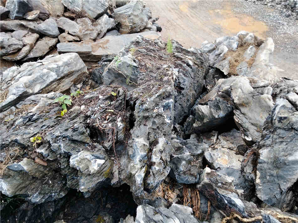 广西大英石厂家供应 天然园林景观造景石批发基地  天然大英石  组合假山、草坪点缀  庭院装饰、园林绿化石