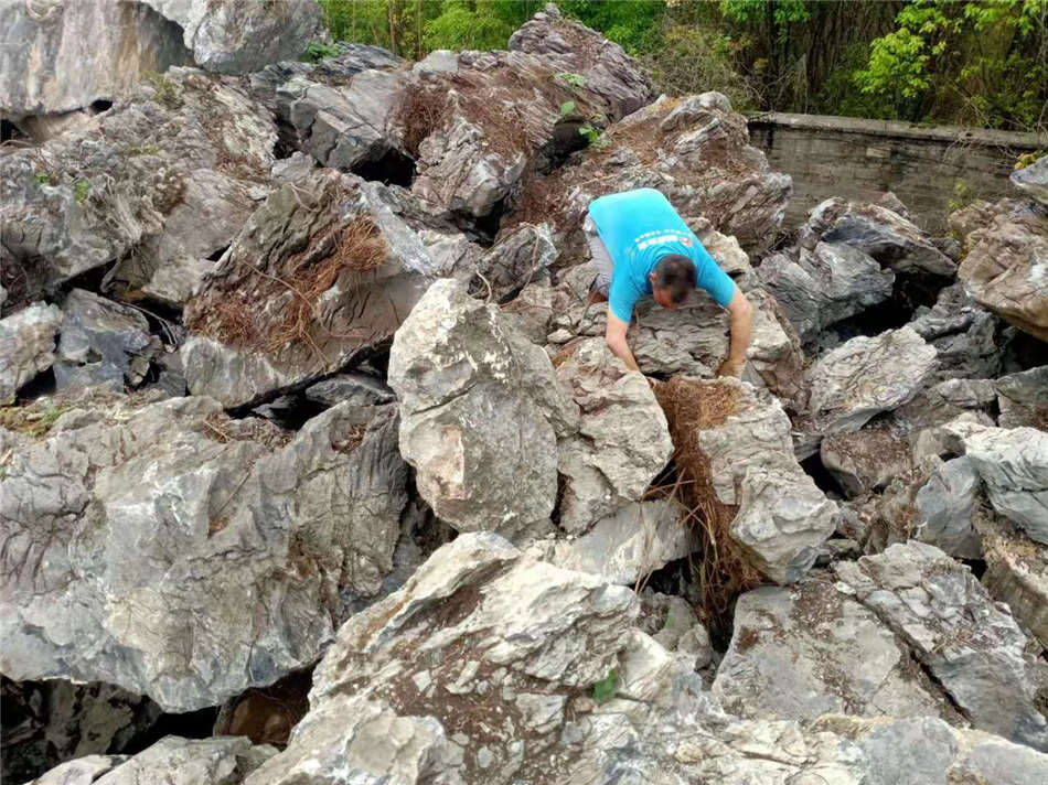 广东天然大英石原产地 英石厂家批发 大英石草坪点缀石  大型园林景观石  草坪点缀、假山制作