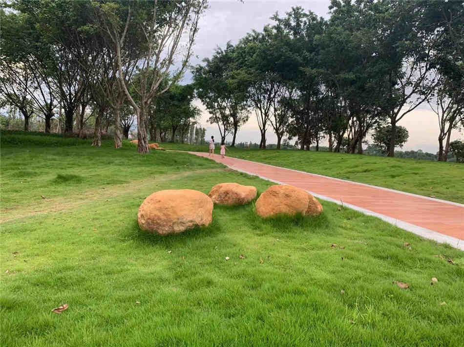 广东大型吨位草坪点缀石黄蜡石原产地批发  吨位黄蜡石  大型园林景观石  草坪点缀、假山制作