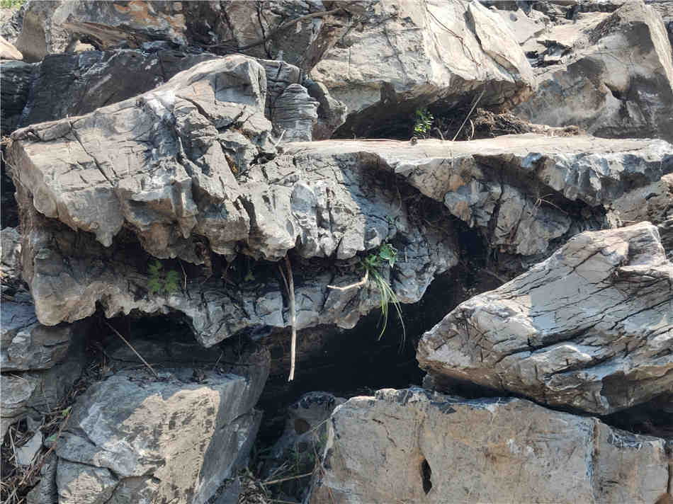 大英石原产地在哪里？英石批发多少钱？  天然大英石  大型园林景观石  草坪点缀、假山制作