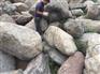 广东泰山石天然石材批发基地 水池假山草坪点缀