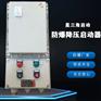 潍坊星三角防爆降压起动器 防爆星三角启动器厂家
