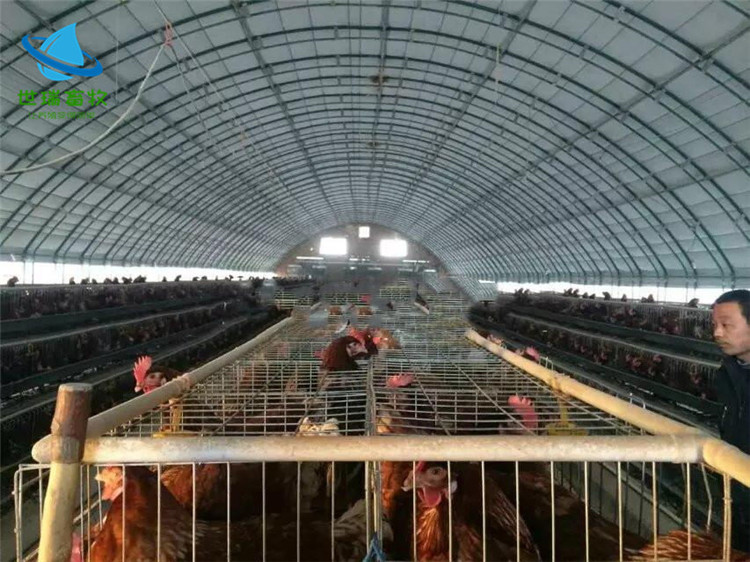 温室大棚安装设计 鸡舍建造厂家 蛋鸡养殖大棚安装