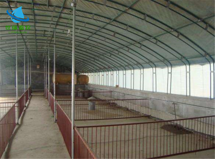 大型养牛场规划设计 肉牛养殖大棚 牛棚搭建