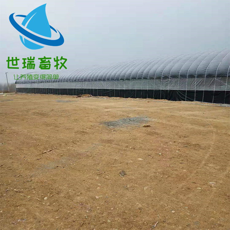 宁津县世瑞畜牧大棚设备 养羊棚搭建 牛棚建设