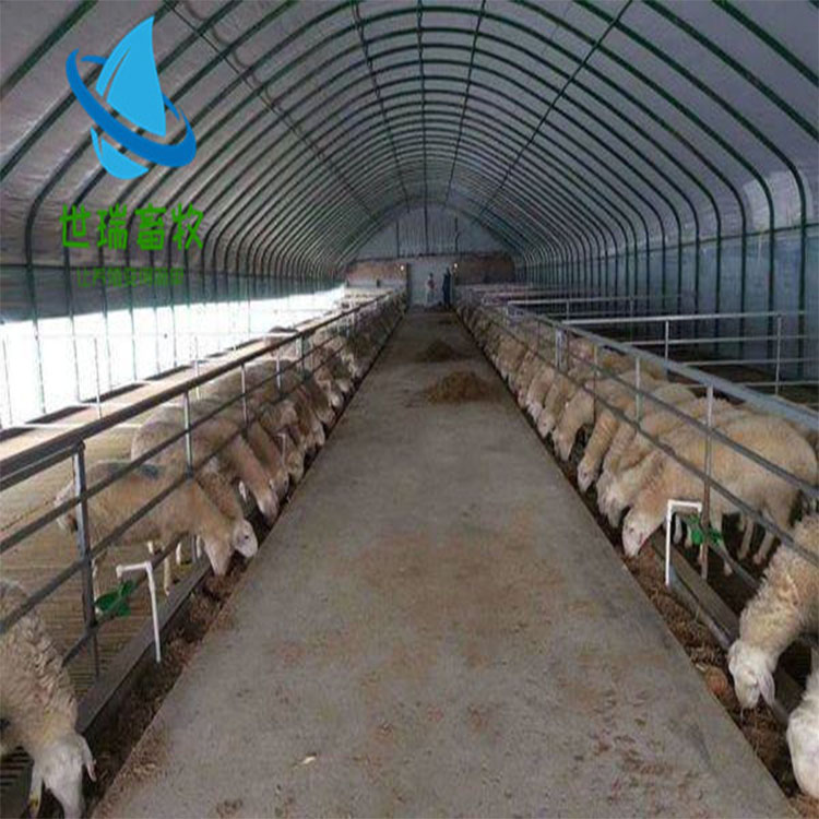 养羊大棚建设图片 养羊棚施工 羊棚建造方法