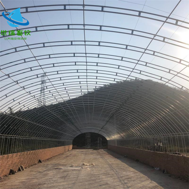 养羊大棚搭建成本 标准羊棚建设 牛棚建造