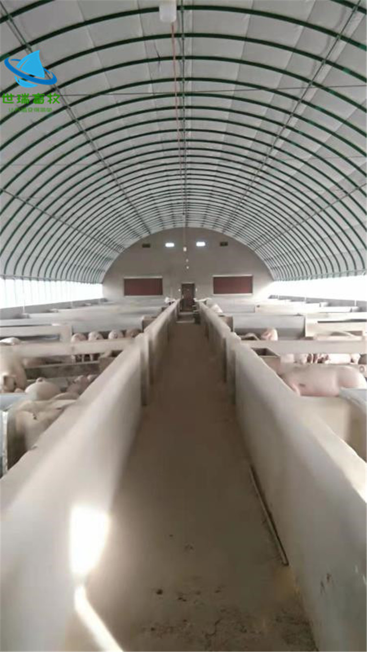养羊大棚搭建成本 标准羊棚建设 牛棚建造