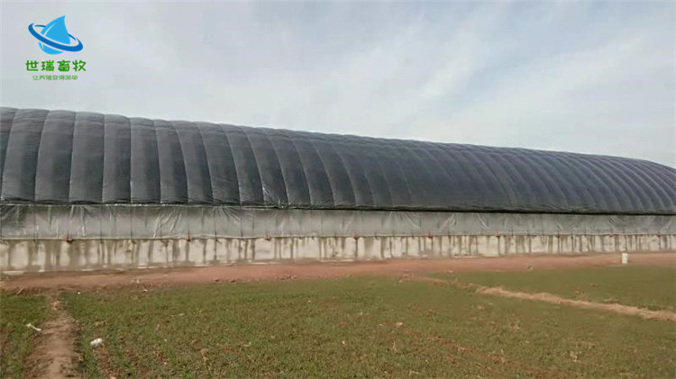 养鸡大棚搭建 肉鸡大棚建设 蛋鸡养殖大棚