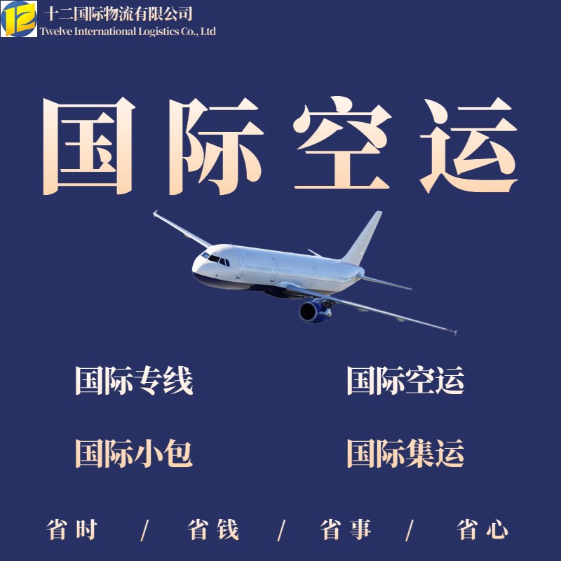 十二国际物流 国际快递 国际小包 国际空运 国际大包 EMS&nbsp;&nbsp;国际海运