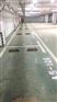 南京道路划线-侧方位停车位划线-南京达尊交通工程公司