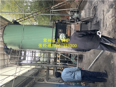 8吨全自动生物质锅炉价格优惠  红星锅炉  燃气锅炉