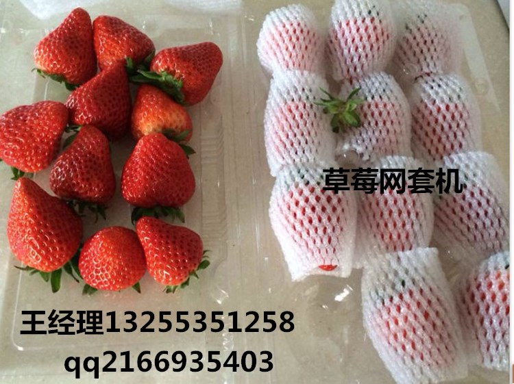 龙口猕猴桃包装棉网套机 菜花发泡网设备  猕猴桃网套机  发泡网挤出机
