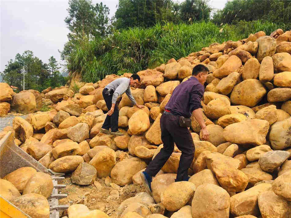 广东大型黄蜡石批发基地 天然园林景观石材原产地供应  黄蜡石原石批发  组合假山、草坪点缀  假山制作庭院装饰