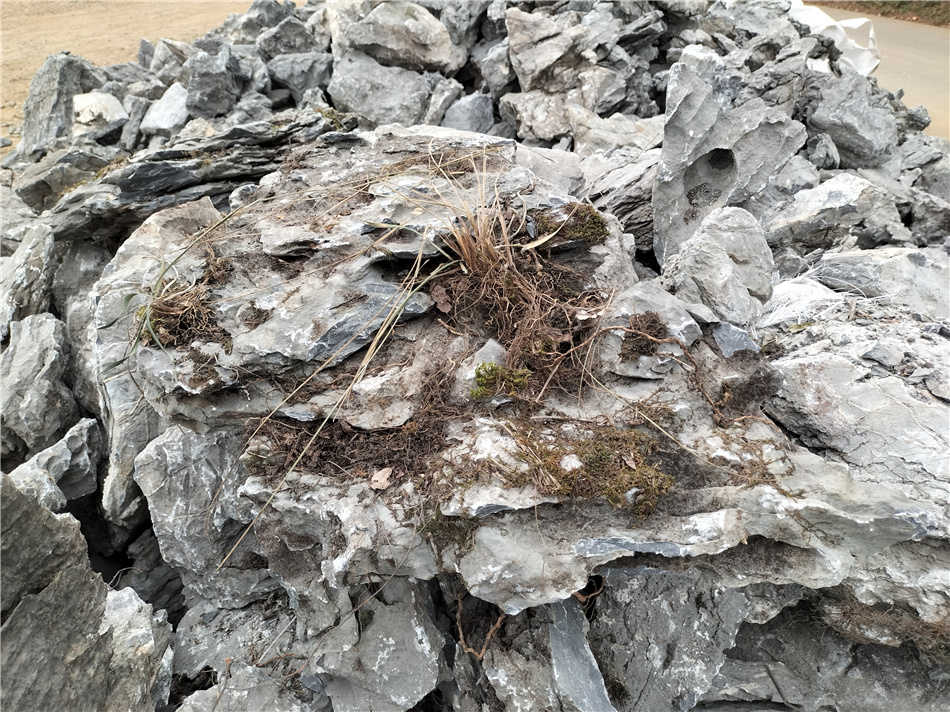 广东大型石材批发基地 天然英石假山制作石材批发  天然大英石  大型园林景观石  假山制作庭院装饰