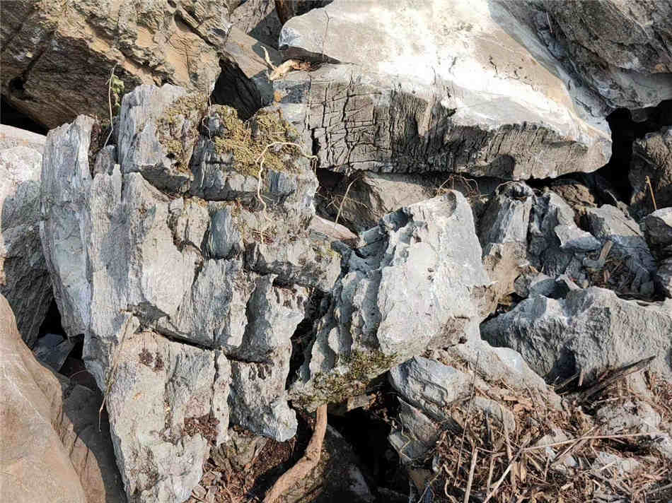 广东大英石原产地 天然英石原石厂家直销  天然大英石  大型园林景观石  草坪点缀、假山制作