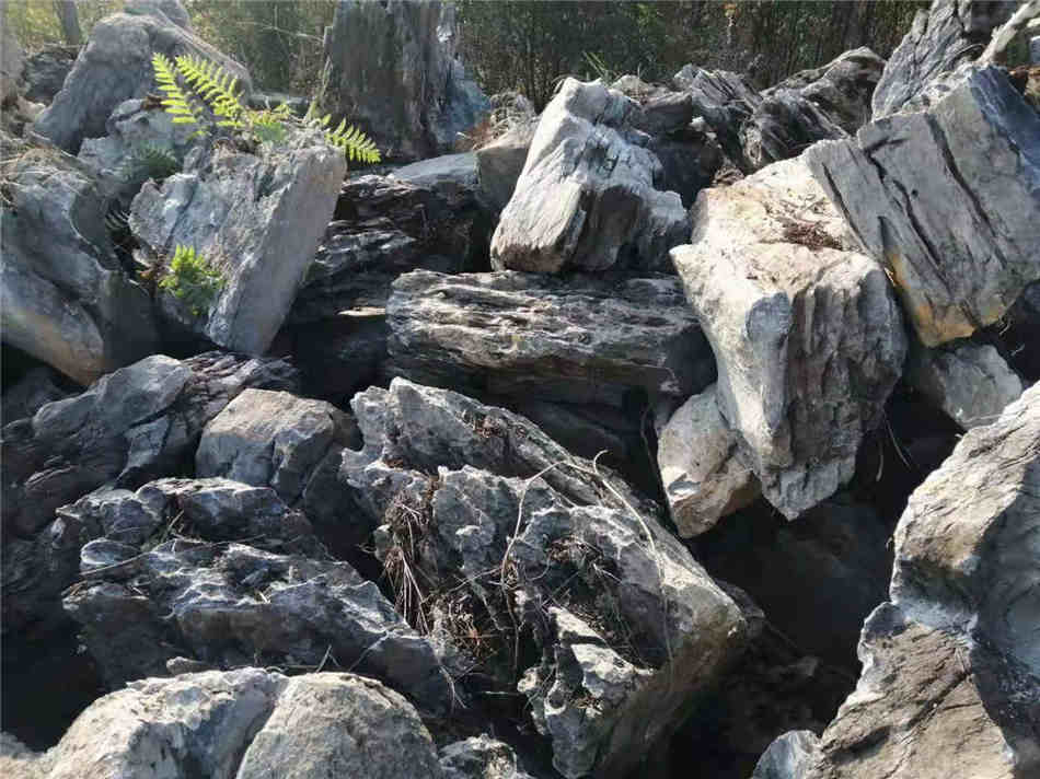 广东英石厂家 天然英石批发基地 园林景观造景石原产地  天然大英石  大型园林景观石  草坪点缀、假山制作