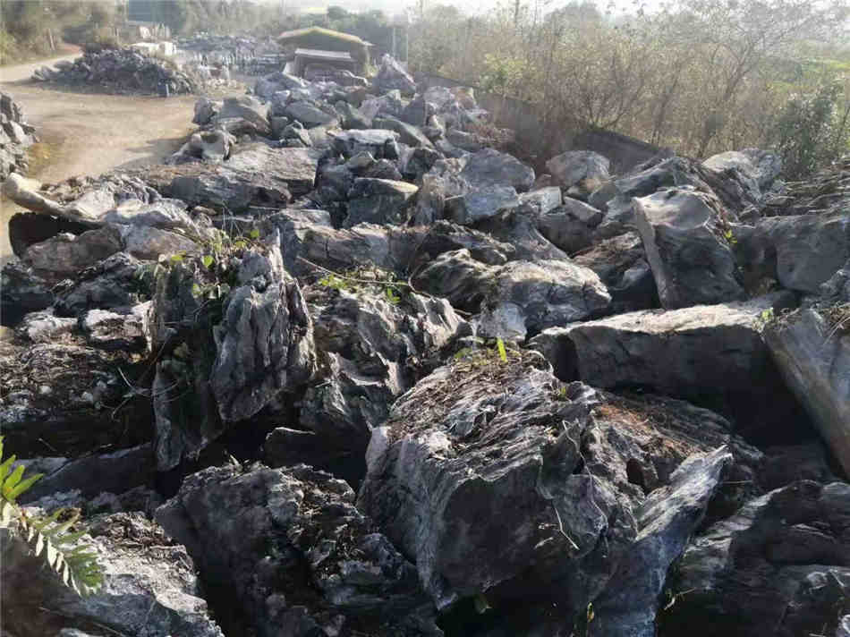 贵州英石原产地 英石批发基地 天然园林景观造景石  天然大英石  大型园林景观石  草坪点缀、假山制作