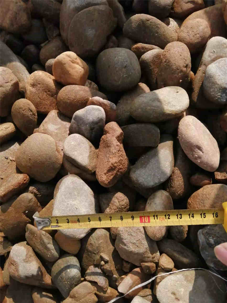 广东鹅卵石原石 天然河冲石原产地供应 过滤净水处理  天然鹅卵石  变电站、发电厂  铺路、过滤、水池装饰
