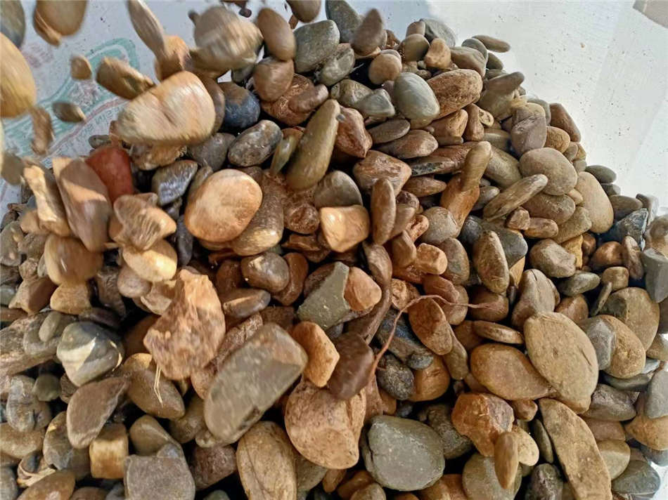 广东杂色鹅卵石过滤净水处理石厂家大量现货供应  天然鹅卵石  变电站、发电厂  铺路、过滤、水池装饰