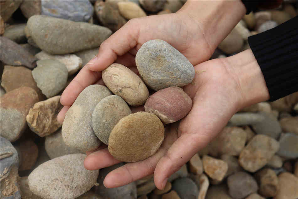 广东杂色鹅卵石过滤净水处理石厂家大量现货供应  天然鹅卵石  变电站、发电厂  铺路、过滤、水池装饰