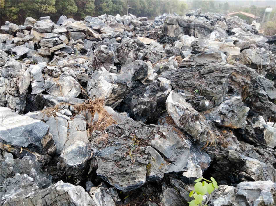 广东英石厂家 天然英石原产地 假山制作草地点缀石  天然大英石  大型园林景观石  草坪点缀、假山制作