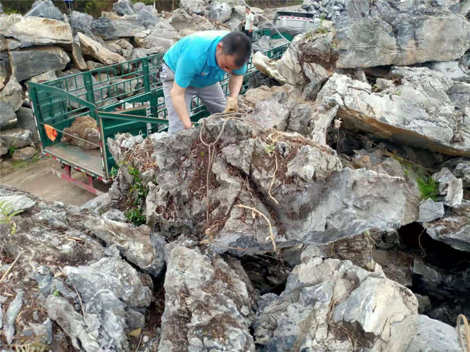 广东大英石批发基地 天然英石原石厂家大量现货供应  天然大英石  大型园林景观石  草坪点缀、假山制作