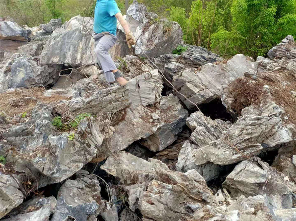广东大英石批发基地 天然英石原石厂家大量现货供应  天然大英石  大型园林景观石  草坪点缀、假山制作