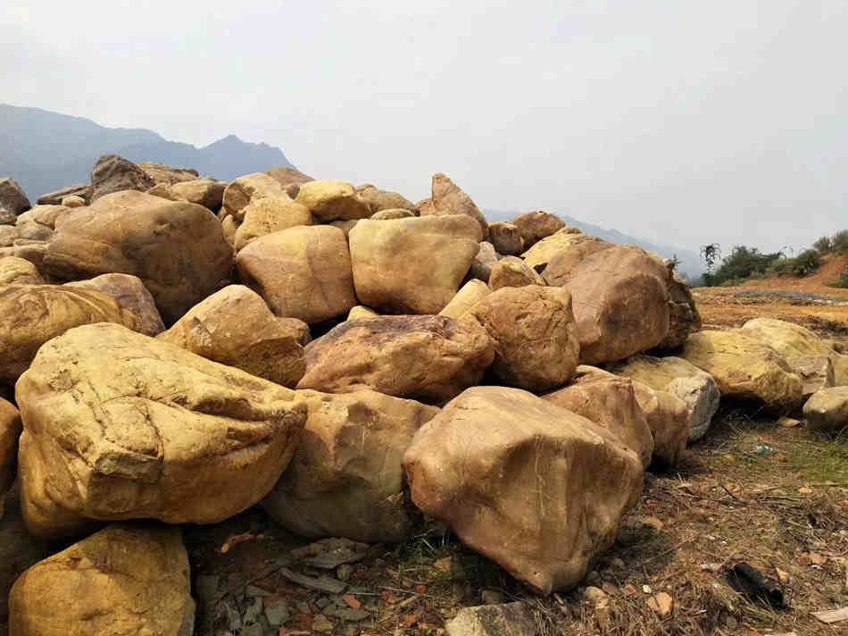 黄蜡石大型批发基地 天然黄蜡石原石厂家批发  黄蜡石原石批发  大型园林景观石  草坪点缀、假山制作