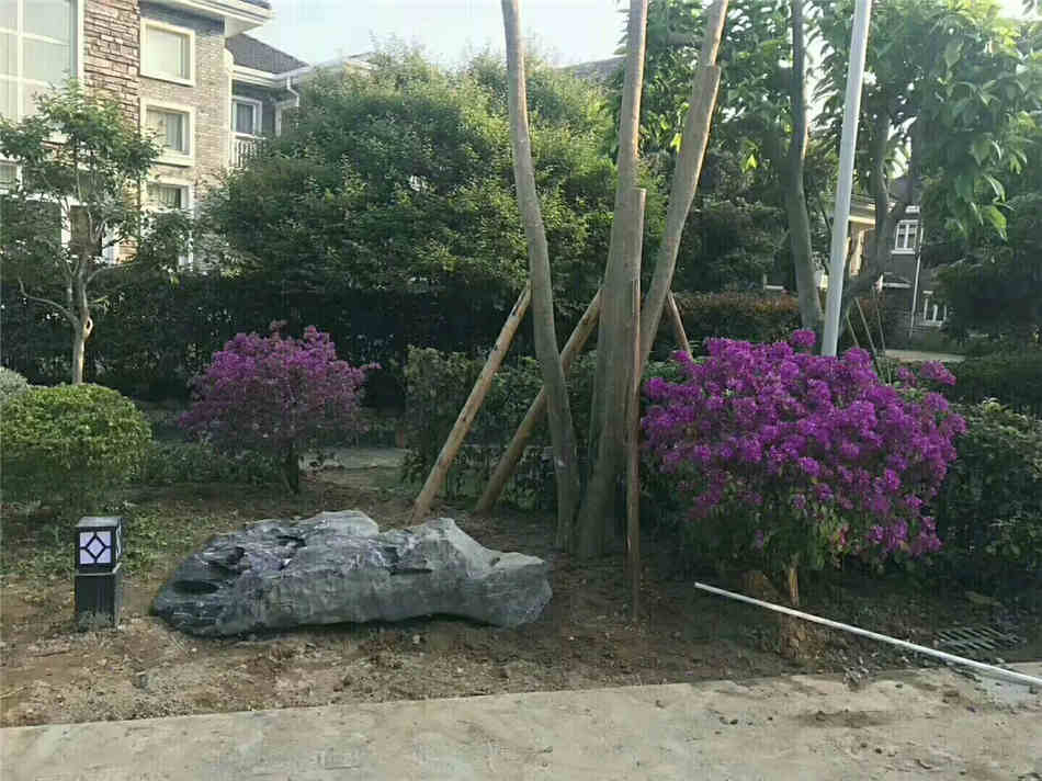 广东太湖石原石厂家 天然太湖石原产地 假山制作石材批发  太湖石厂家批发  大型园林景观石  假山制作庭院装饰