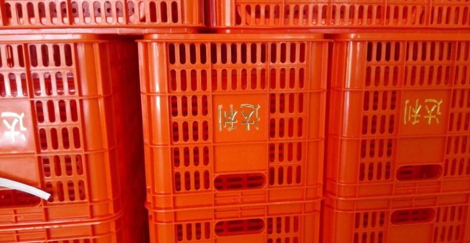 沈阳包装播种器印刷烫金机专业制造播种器印字烫金机  播种器烫金机  沈阳烫金机  沈阳播种器烫字机