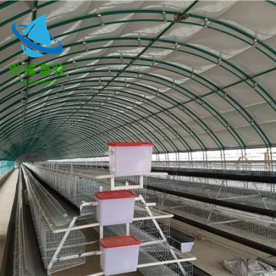 新型养猪大棚搭建 养猪大棚价格 大棚式养猪舍