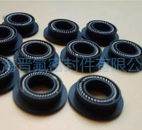 耐高温法兰边旋转泛塞封，四氟碳纤维旋转密封圈  RPTFE