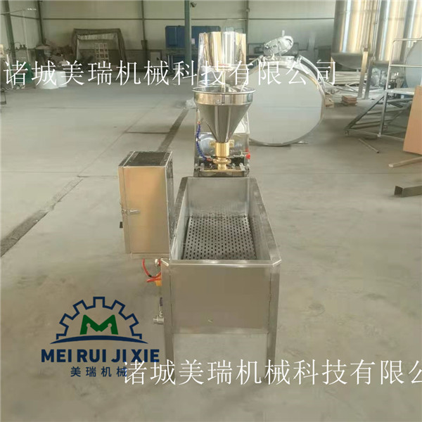 丸子生产线 牛肉丸加工设备  实心丸子机
