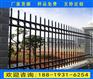 东莞学校操场铁艺护栏 广州防攀爬锌钢护栏厂家