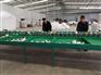 多功能一体南国梨分选机 替代人工选果分级