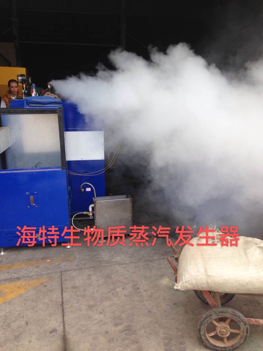 福建海特厂家直销生物质颗粒蒸汽发生器  蒸汽机