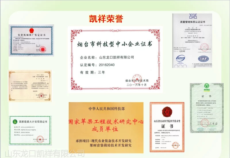 广西果蔬产后分级工具 沃柑分拣机  沃柑选果机  沃柑分选机  沃柑分级机